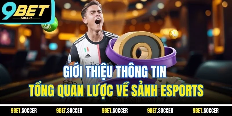 Giới thiệu thông tin tổng quan lược về sảnh Esports